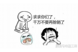 催收举报投诉电话是多少？揭秘金融消费者权益保护途径