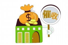 额济纳旗收债公司：专业债务回收，助力企业稳健发展